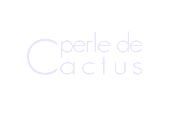 perle du cactus perle du cactus